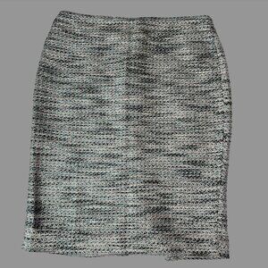 Ann Taylor Business Casual Pencil Skirt (Size 4)